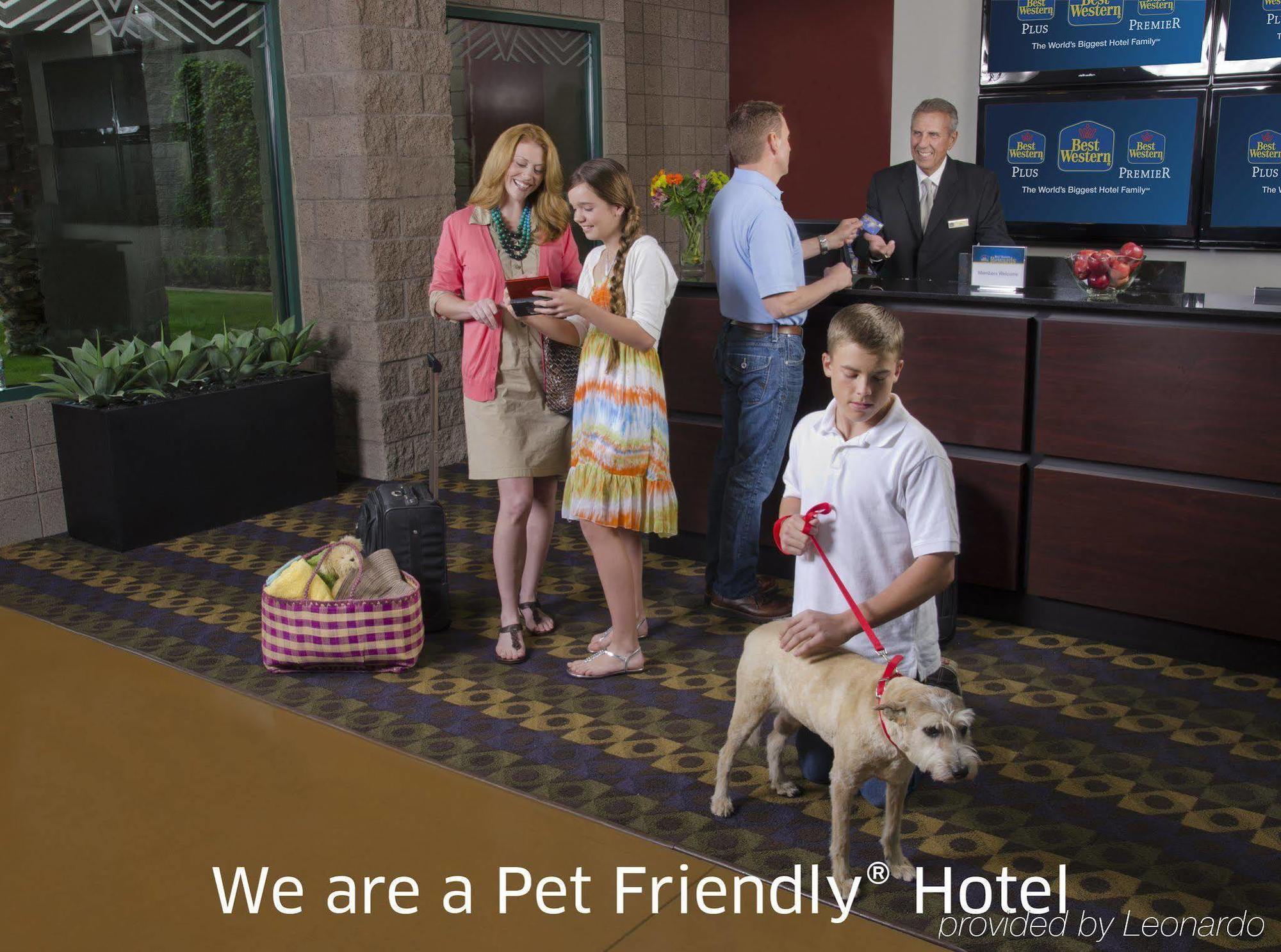 Best Western Plus Lytle Inn And Suites Exterior foto